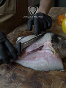 Dalstrong Filled knife 4.7" Night Shark Series pictured slicing through fish.