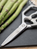 Dalstrong Professional Kitchen Scissors with 420J2 stainless steel construction and ergonomic ambidextrous grip