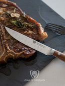 Dalstrong Gladiator 5 inch steak knife set with German steel blades and durable  wood handles. In box that easily makes great gift.  Shown with steak.