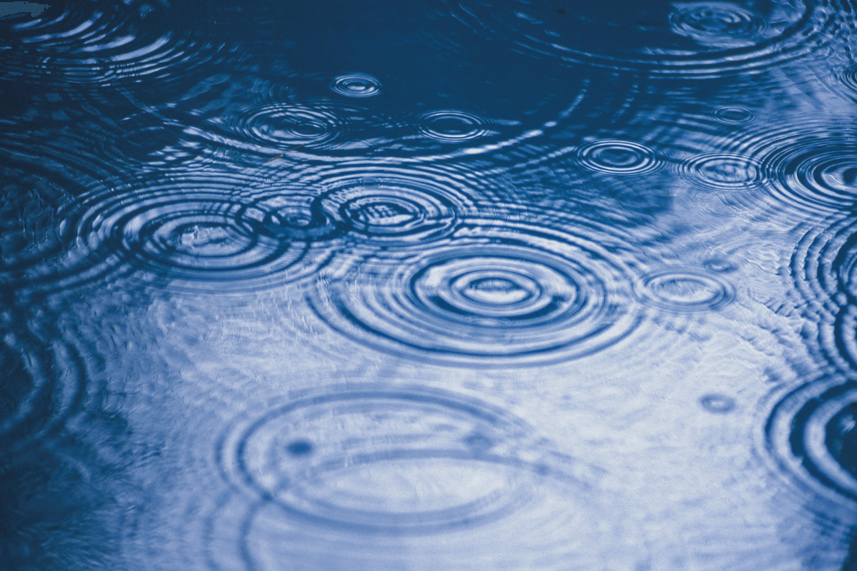 Can You Grill in the Rain?