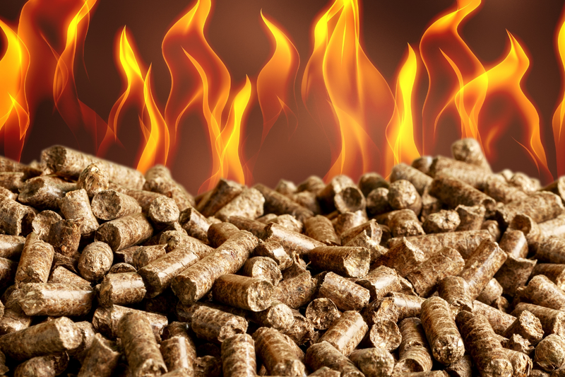 Best Wood Pellets for Poultry, Beef, Pork & Seafood