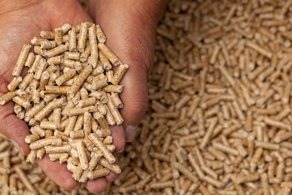 best wood pellets for your wood pellet smoker when you cook bbq outdoors