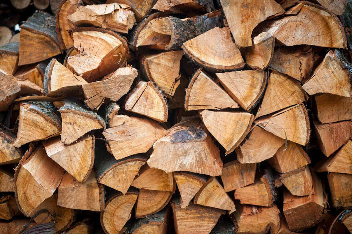 The Ultimate Guide to Smoking Woods for BBQ