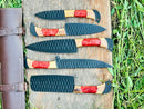 Texan Knives' Best Japanese Kitchen Knife Set features a 13" forged stainless steel chef knife with an olivewood and resin handle, plus a leather sheath, all beautifully arranged on green grass.