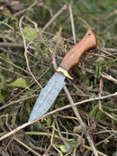 The Texan Knives Hunting Blade – a 10" Damascus steel knife with rosewood handle, brass guard, and leather sheath – rests outdoors on dry twigs and green leaves.