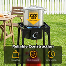 A large pot sits on the DirectDeals Propane Camping Stove 80000 BTU Single Burner with Regulator, supporting up to 220 lbs. Icons show it’s heavy-duty, heat-resistant, and long-lasting. Picnic setup in the background.