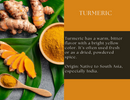 A bowl and spoon of Spice Wheel Turmeric Powder rests beside whole and sliced turmeric roots on a green leaf, with text highlighting Spice Wheel’s warm, earthy spice known for its vibrant yellow hue, versatile culinary uses, and rich ancient origins.