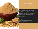 A bowl of Spice Wheel Coriander Powder is displayed beside whole coriander seeds and fresh cilantro leaves on a white background. Text highlights the citrusy flavor of this Mediterranean and Western Asian spice, widely used in cooking as both fragrant coriander seeds and fresh cilantro leaves.