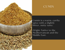 A metal bowl filled with Spice Wheel Cumin Powder is next to loose cumin seeds. Text highlights Spice Wheel’s earthy, warm, and nutty spice, emphasizing its Mediterranean and Middle Eastern origins.