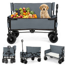 The DirectDeals 2-in-1 Collapsible Wagon Bench Seat with Adjustable Handle holds fruit and a golden retriever puppy. Additional images show rear, folded, and empty views with the side down.