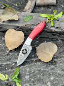 The Texan Knives FIXED BLADE POCKET KNIFE, a personalized Damascus steel blade with a red handle, rests on weathered wood amid dry leaves and green foliage on a dark, textured surface.