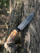 The Custom Handmade Stone Texture Hand Forged 1095 High Carbon Steel Vintage Viking Knife by Texan Knives, featuring a polished wooden handle, is embedded in the rough bark of a tree in an outdoor setting.
