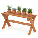 The DirectDeals Outdoor Wood Bench Set of 2 - 36 Inch Backless Patio Seating is ideal for displaying succulents and leafy plants in terracotta pots, offering stylish and functional outdoor seating.