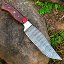 The Texan Knives Custom Handmade Damascus Skinning Blade – 4.5" Damascus Steel features a patterned blade and a wooden handle with red and silver accents, displayed on a rock amid green plants.
