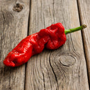 A single, wrinkled red chili pepper with a green stem rests on weathered wooden planks, its vivid color and texture evoking the bold intensity of The Spice Lab’s Smoked Ghost Pepper Sea Salt—a seasoning renowned for delivering extreme heat and unforgettable flavor.