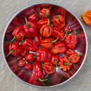 A metal bowl brimming with vibrant red and orange chili peppers sits atop a stone surface, their fiery hues echoing the intense heat of The Spice Lab Scorpion Chile Powder by The Spice Lab, with one bold orange pepper resting just outside the bowl.