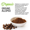 A bowl of The Spice Lab Organic Ground Allspice sits beside whole allspice berries, with text highlighting this product’s warm, complex flavor and its versatility in dishes and drinks—including classic BBQ sauce and vibrant Jamaican jerk seasoning.