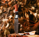 The Texan Knives Best Knives for Hunting features a 10" J2 hand-forged steel blade and a rosewood handle, shown embedded in a tree stump with autumn leaves and blurred foliage in the background.