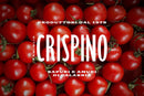 A background of red tomatoes with white text: Produttori dal 1979, Taycte, Sapuri e Amuri di Calabria... featuring Famiglia Crispino Sun-Dried Tomato Antipasto — Italian Marinated in Olive Oil.