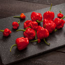 Several bottles of The Spice Lab Scorpion Chile Powder are arranged on a black speckled cutting board placed on a dark wooden surface, showcasing the vibrant intensity and extreme chile heat found in this fiery hot spice from The Spice Lab.
