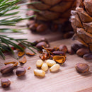 The Spice Lab Organic Pine Nuts by The Spice Lab are shown scattered with brown shells on a wooden surface, surrounded by green pine needles and a pine cone—these organic pine nuts make the perfect salad topping or a versatile baking ingredient.