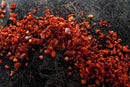 World Spice Aleppo Pepper by World Spice, celebrated for its moderate heat and fruity flavor, is scattered on a dark, textured surface.