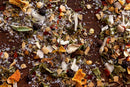A close-up of assorted dried herbs, spices, and coarse salt on a wooden surface highlights the vibrant textures and colorful fragments of World Spice Biscayne Citrus Rub by World Spice—an all-purpose blend that features orange peel, green leaves, and red pepper for a zesty burst of flavor.