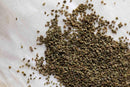A close-up of World Spice Celery Seed by World Spice, scattered on a white surface—perfect for adding depth to Bloody Mary cocktails or enhancing the flavor of Cajun and Creole dishes.
