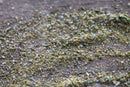 A close-up of World Spice Garlic Salt by World Spice—a seasoning blend with coarse Italian sea salt, California garlic, herbs, and spices—scattered on a wooden surface.
