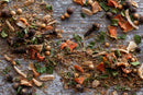 A close-up of scattered dried herbs and spices—such as peppercorns, coriander seeds, chopped green leaves, dried orange peels, and assorted seasonings—evokes the bold Caribbean flavors found in World Spice Jerk Seasoning by World Spice, all artfully arranged on a rustic wooden surface.