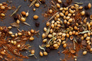 A close-up of various dried spices, including coriander seeds, peppercorns, dried leaves, and ground blends—featuring the fragrant World Spice Kofte Spice from World Spice—scattered on a dark surface.