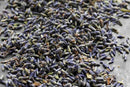 A close-up of World Spice French Lavender by World Spice shows dried lavender flowers and buds scattered on a gray surface, highlighting their delicate beauty and subtle floral flavor—perfect for incorporating into soothing herbal blends.