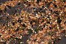 Close-up of World Spice Osaka Seasoned Salt scattered on a dark surface, highlighting sesame seeds, dried herbs, crushed red pepper, black specks, and coarse salt crystals.