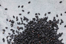 A close-up of World Spice Black Sesame Seed, a signature offering from World Spice and a staple among Asian spices, scattered on a light gray, textured surface.