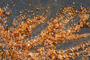 World Spice Svaneti Seasoned Salt by World Spice, along with crushed dried peppers and coarse salt, is scattered across a dark gray surface, creating a colorful and textured pattern.