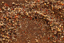 A close-up of World Spice Voodoo by World Spice—a chunky, scattered dry spice mix bursting with coarse salt, mustard seeds, peppercorns, and dried herbs—showcases this bold seasoning salt blend on a rustic wooden surface.