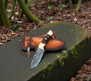 The Texan Knives Handmade Damascus Steel Knife Sharpener with a rosewood handle sits on a brown leather sheath on mossy stone, surrounded by greenery and leaves. The Texan Knives logo is visible in the image.
