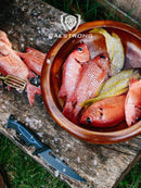 Dalstrong© Curved Boning Knife 6" Night Shark Series for grill masters. 