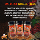 Three Blazing Star BBQ All In One Seasoning bottles are displayed before a vibrant array of spices, beneath the slogan “One Blend. Endless Flavor.” The text describes how this versatile blend from Blazing Star BBQ elevates any meal, transforming ordinary dishes into sensational creations.