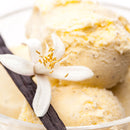Close-up of vanilla ice cream scoops in a glass dish, garnished with a vanilla bean pod, vanilla orchid blossom, and sprinkled with SALTOPIA Infused Sea Salts' Saltopia Vanilla Bean Sugar: BEAN GOOD 16oz. A softly blurred background highlights the dessert.