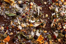 A close-up of vibrant dried herbs and spices—featuring orange, green, white, and red flakes—scattered with coarse salt on a wooden surface, showcases the World Spice Americana Tasting Flight by World Spice, an inviting selection inspired by USA regional flavors and aromatic blends.