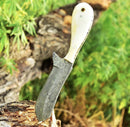 The Texan Knives Gareth Bull Shamwari Inspired 8" Handmade Damascus Knife with a patterned blade and camel bone handle stands vertically in a tree stump, surrounded by green foliage and textured bark.