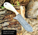 The Texan Knives Gareth Bull Shamwari Inspired 8" Handmade Damascus Knife, featuring a 3.75" camel bone handle and a 4.25" patterned blade, rests on a tree log, with handle and blade measurements shown in the corner.