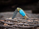 The Texan Knives Custom Handmade Fish Style Damascus Steel Folding Knife features an epoxy resin handle with brass accents and includes a leather sheath—perfect for outdoor use.