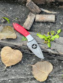 The Texan Knives FIXED BLADE POCKET KNIFE, a personalized Damascus steel hunting knife with a red handle, sits on weathered wood among dried leaves and green plants atop a textured dark surface.