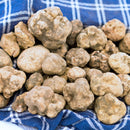 A pile of knobby Italian white truffles rests on a blue and white plaid cloth, evoking the rich aroma of SALTOPIA Infused Sea Salts’ Truffle Salt, DIRTY WEDDING, made with gourmet White Italian Truffles.