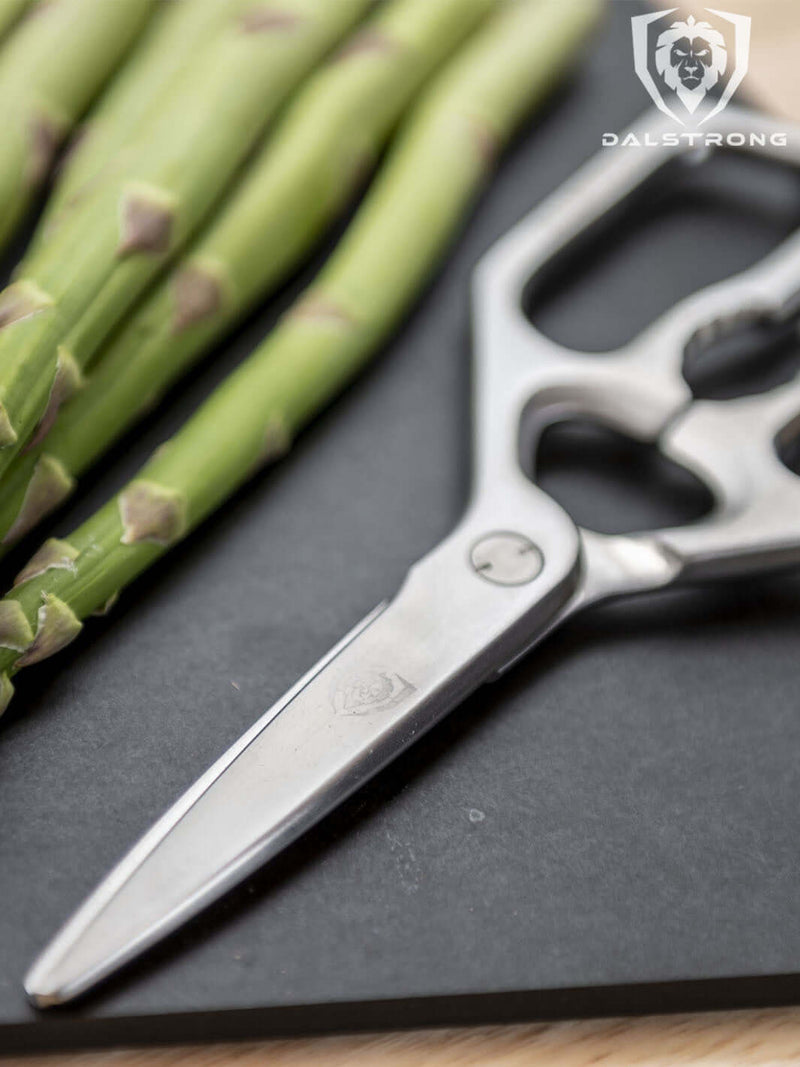 Dalstrong Professional Kitchen Scissors with 420J2 stainless steel construction and ergonomic ambidextrous grip