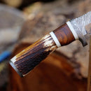 A close-up of the Texan Knives 10" Damascus Steel Hunting Knife with a stag horn handle and Damascus steel guard, set against a blurred natural background. Includes a leather sheath.