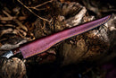 The Texan Knives Handmade Damascus Steel Fish Fillet Knife, 13” with a rosewood handle, is partially visible inside its brown leather sheath with yellow stitching, resting on rough tree bark surrounded by dried leaves.