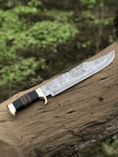 The Authentic Crocodile Dundee Knife by Texan Knives—a 16” handmade Damascus steel blade with a buffalo horn handle and brass guard—rests on a weathered tree log in a forest, framed by lush green foliage.